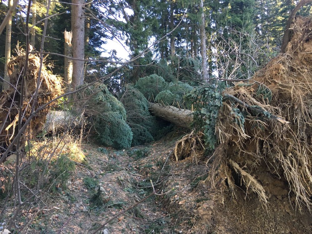 «Burglinde» war hier…