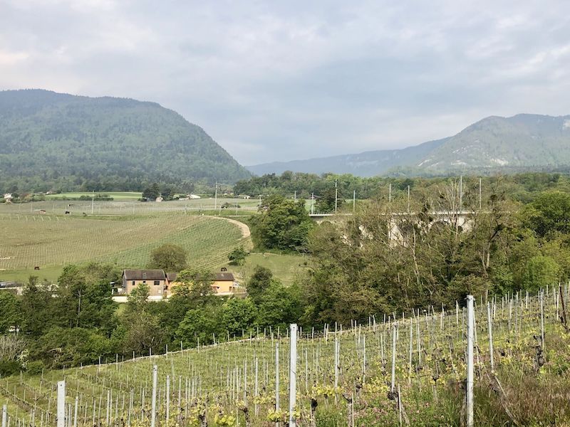 Boudry – der Blick zur Schlucht