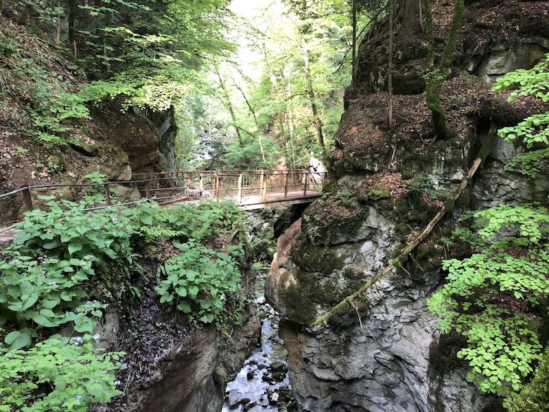 Impressionen… 4 Fotos nacheinander ohne Legende