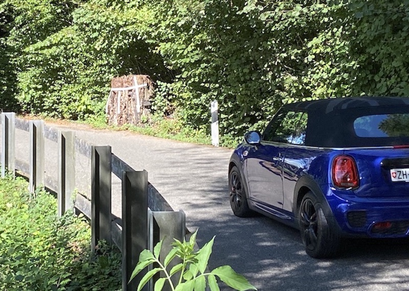 Der Baumstrunk mit den Reflektoren verschwindet (Foto: rs)