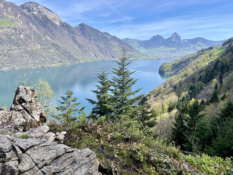 Postkarten-Blick zurück, hinten rechts die Mythen