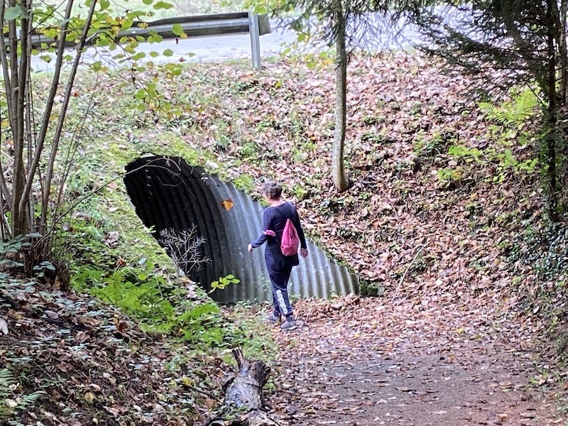 Noch einmal untendurch und dann …