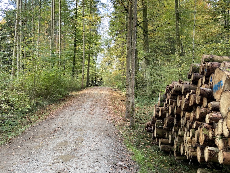 … mit Genuss in die freie Natur (Fotos. Rs)