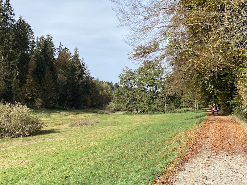 Schon bald kommt das Ruhebänklein gegenüber dem Hatschberg