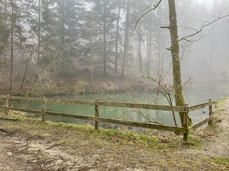 2 Der Etelweiher, ein verträumtes Waldgewässer