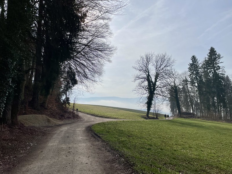 Hochland zwischen Mellikon und Lengnau, es hat aufgehellt
