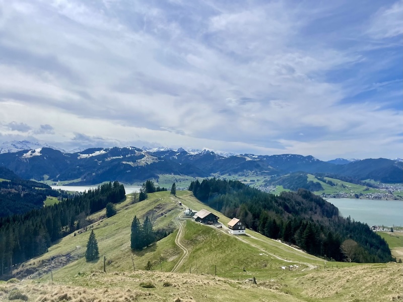 Der schöne Summerig-Gratausläufer führt hinunter zum Sihlsee