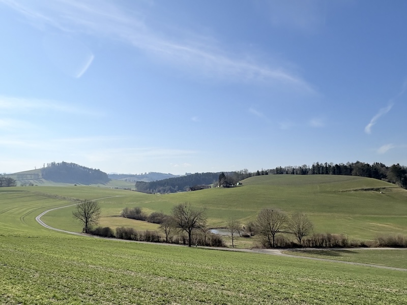 Blick über den Mösliweiher zum Dachsenberg