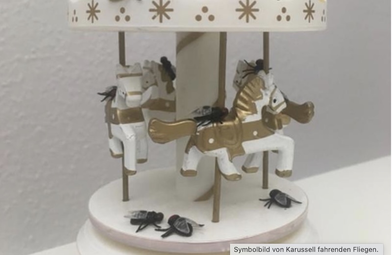 Symbolfoto Karussell mit Fliegen