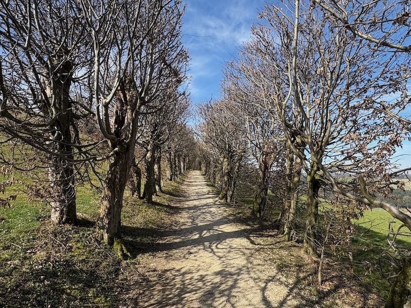 Historischer Laubengang