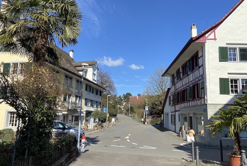 Buchholzstrasse: Palmen, Hotel Zollikon, Innendekoration Keinath, Schmuckatelier (Fotos: ZN)