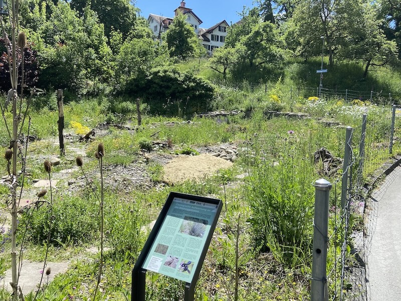 Karger Untergrund voller Leben (Fotos: ZN)