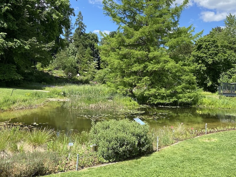 Oase der Ruhe mit einem schönen Teich