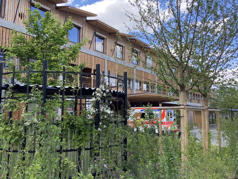 Natürliche Umgebung beim neuen Kispi