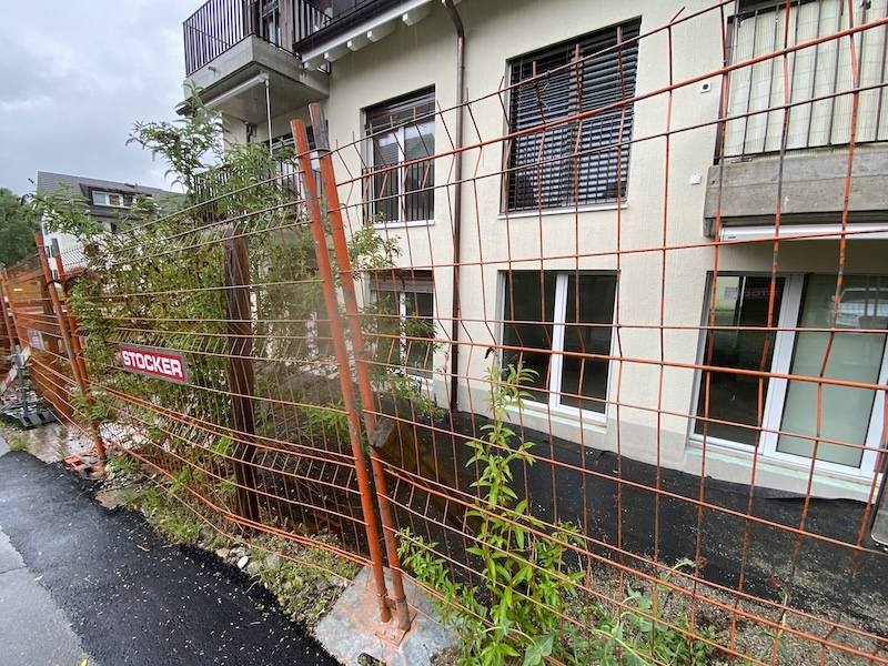 Die Natur gedeiht, das Bauprojekt weniger